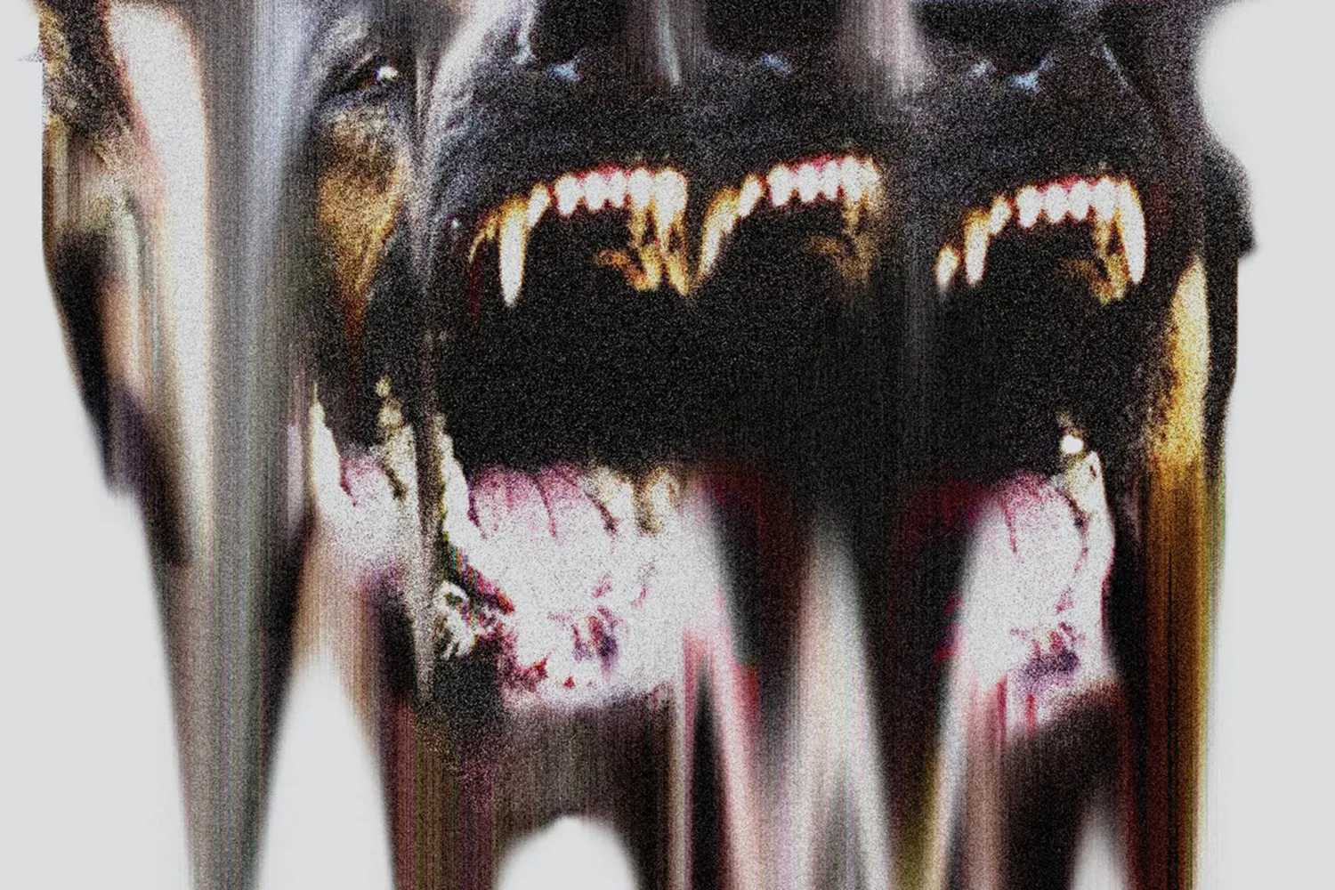 Omnibael have released a new video for their track 'Stay Down'