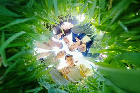 Squid have shared their new single 'Building 650' and announced some UK tour dates