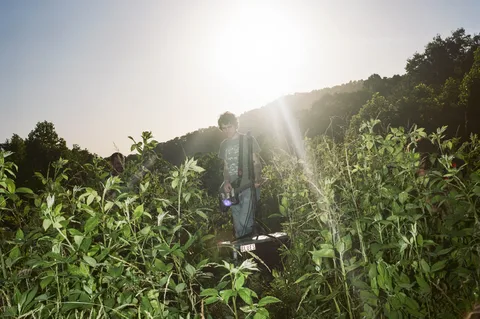 MJ Lenderman shares new single 'Joker Lips' from upcoming album 'Manning Fireworks'