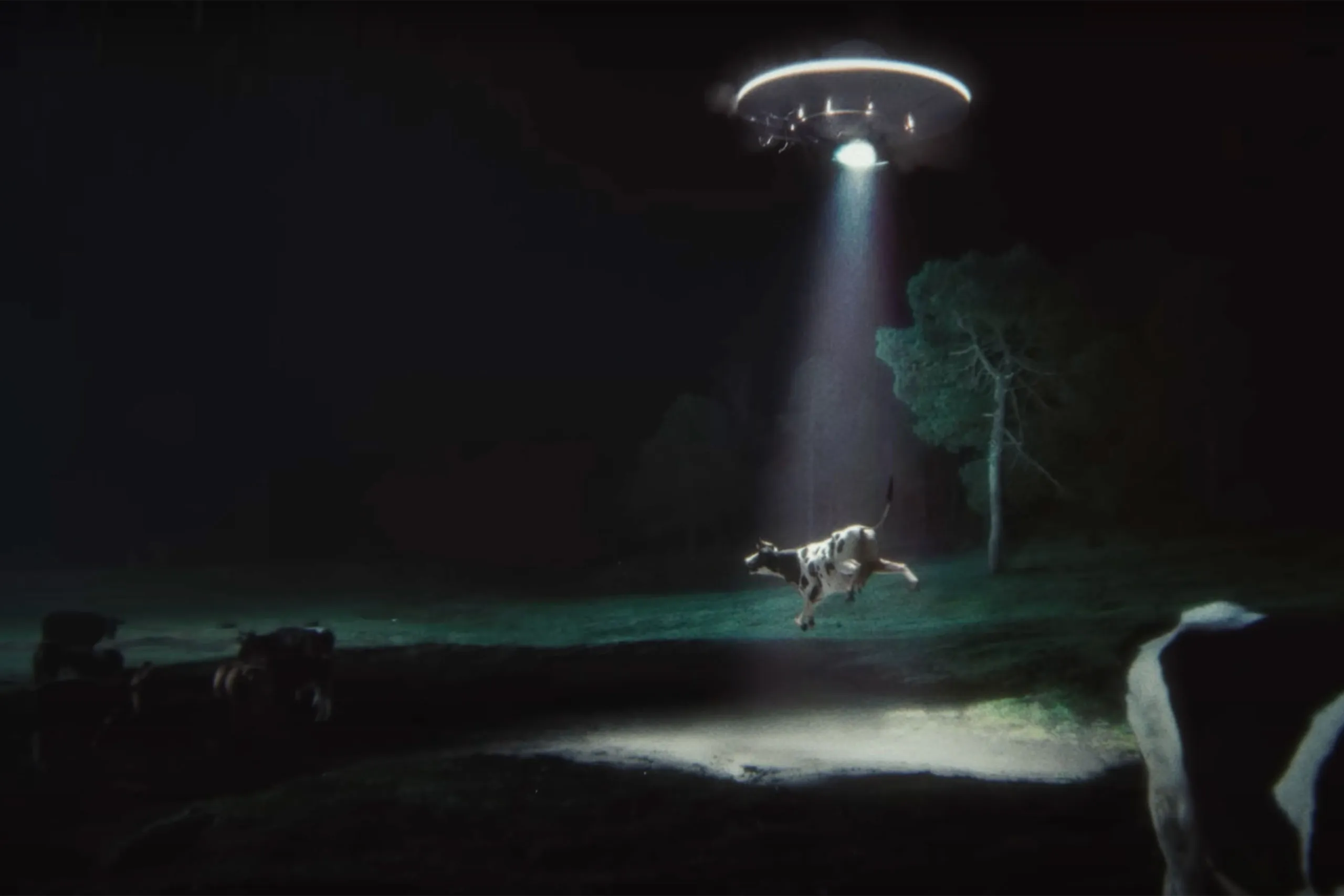 Glass Animals' new video for 'Show Pony' features an unlikely friendship between an alien and a cow