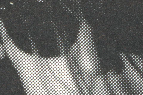 LCD Soundsystem have released their new single 'x-ray eyes', and announced fifth album plans...