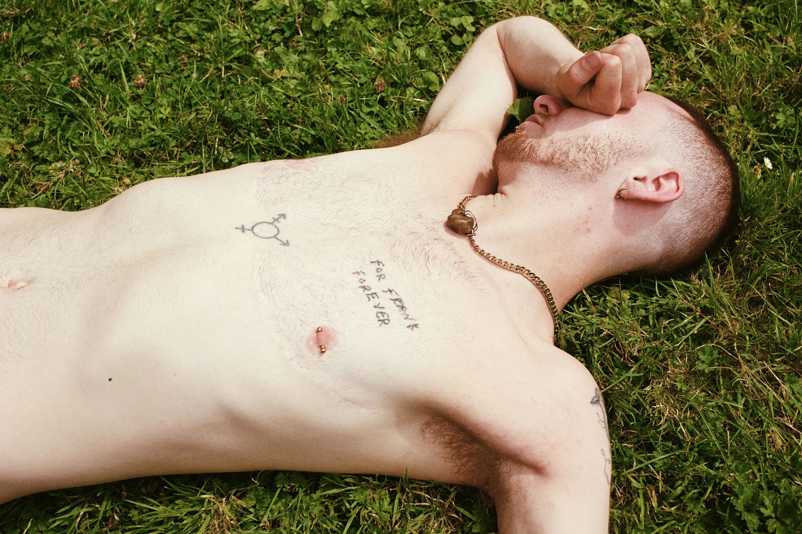 piglet has announced his 'for frank forever' EP, inspired by his time with a mutual aid group